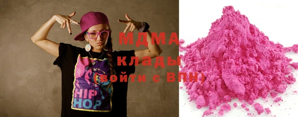 индика Надым