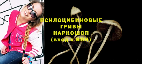 меф Нефтегорск