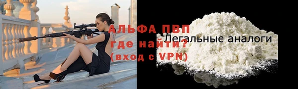 молекула духа Богданович