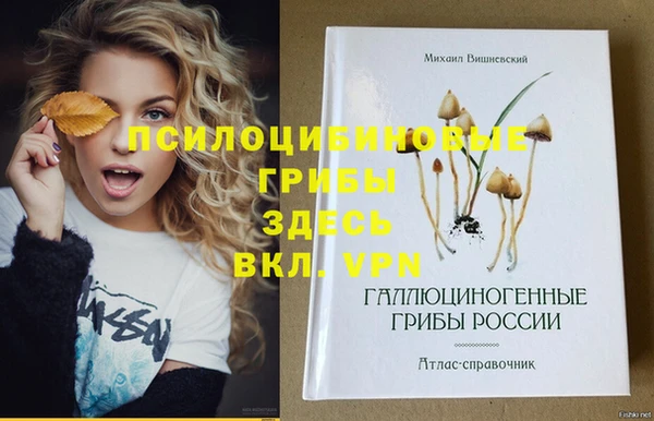 MESCALINE Бородино