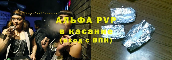 молекула духа Богданович