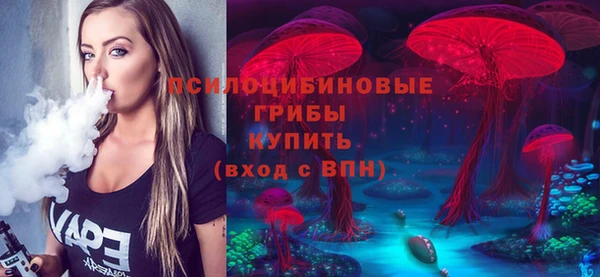 мескалин Богородицк