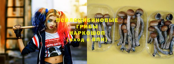 стафф Бугульма