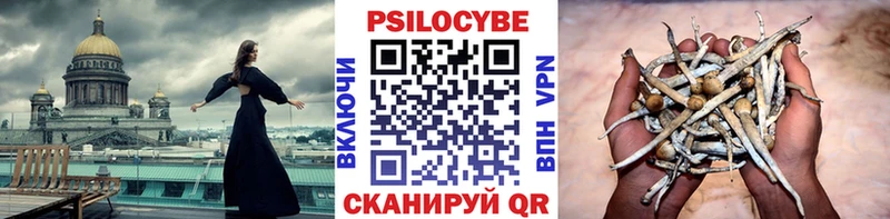 Галлюциногенные грибы MAGIC MUSHROOMS  наркошоп  Котельнич 